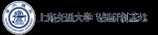 飞艇