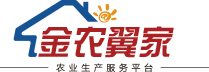 金农翼家