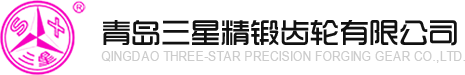 汽车齿轮