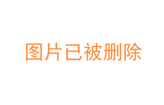 SEO技术