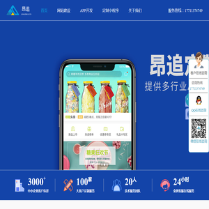 专注高端网站建设
