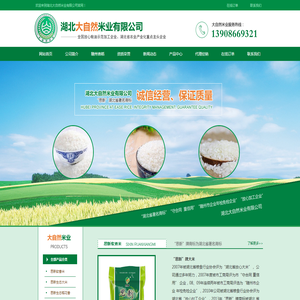 智能无尘室起重机,翻转吊机