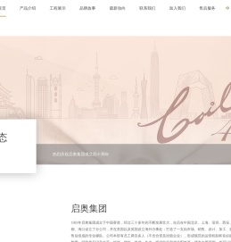 启奥集团