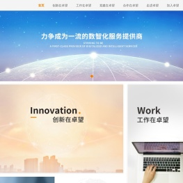 卓望公司