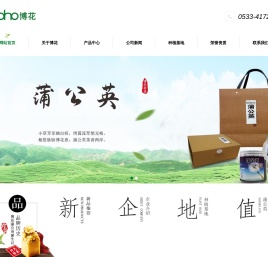 博花蒲公英,蒲公英茶