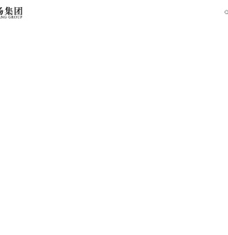 广东飞扬实业集团有限公司