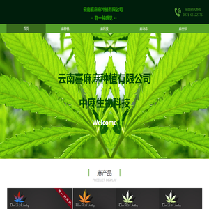 首页