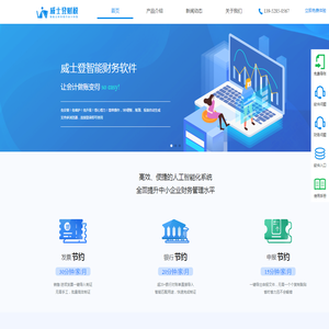 威士登智能财务软件