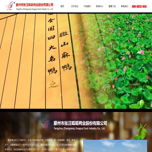 滕州市张汪呱呱鸭业股份有限公司