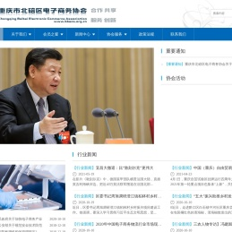 重庆市北碚区电子商务协会