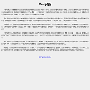 99net手游网